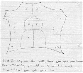 Drawing showing different quality leather obtained from different areas of a hide